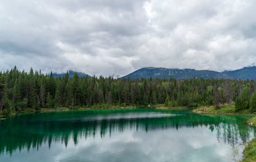 Gratis arkivbilde med innsjø, natur, naturfotografi