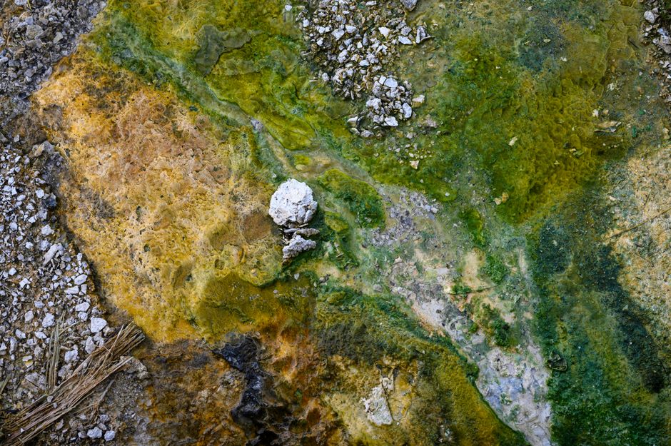 Close-up of vibrant mossy rock and mineral formation with vivid colors.