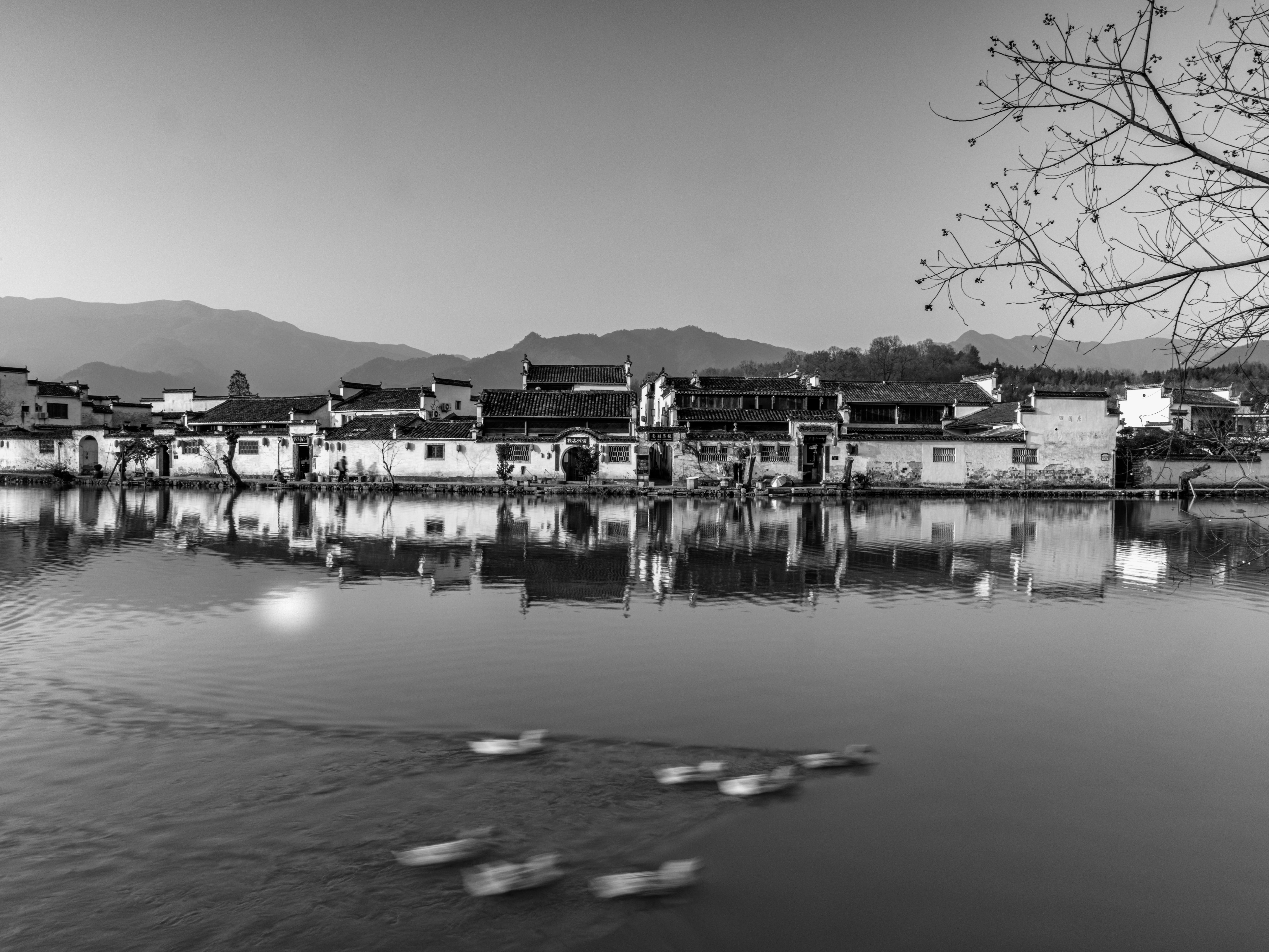 Where do tiny houses get water?