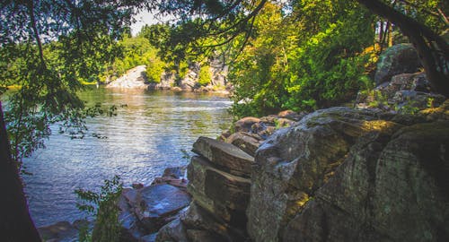 Free stock photo of beauty, nature, rocks