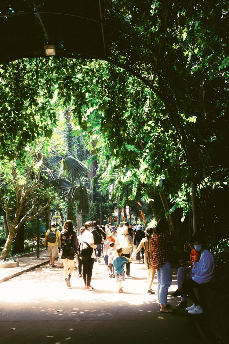 People In Park In Summer