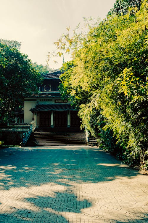 Walkway Leading to a House 