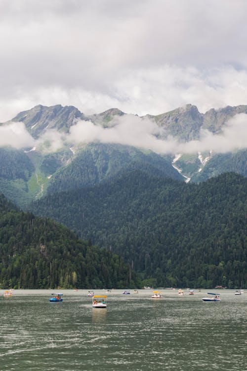 寧靜, 山, 樹木 的 免费素材图片