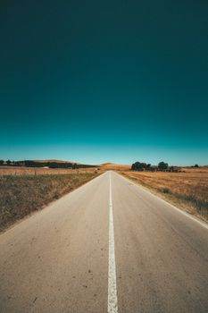 A scenic deserted road stretches into the horizon under a clear blue sky with surrounding fields.