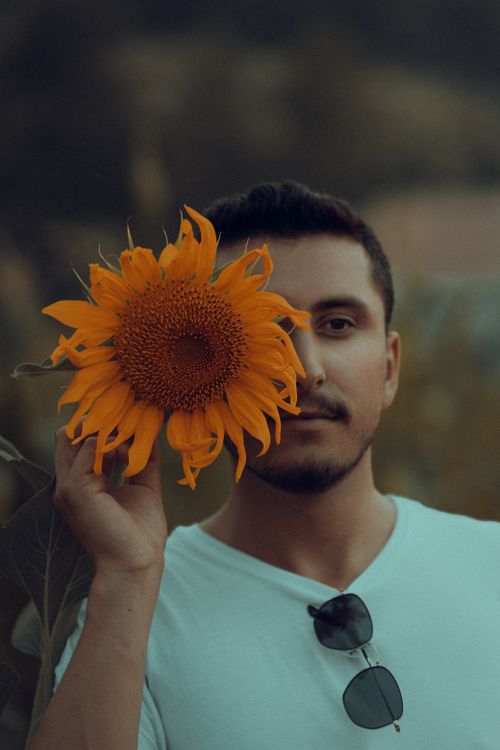 Person Standing Beside A Sunflower Free Stock Photo person-standing-beside-a-sunflower-free-stock-photo