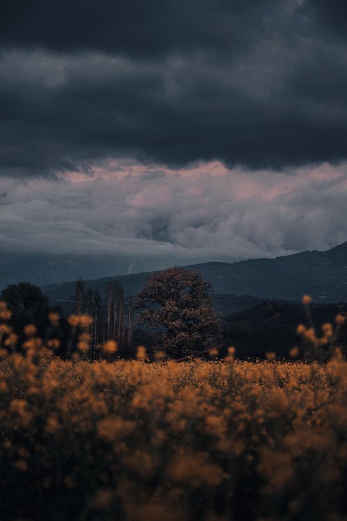 Majestic Clouds over Mountains