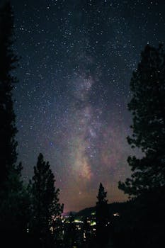 晴朗的星空下，树木的剪影勾勒出银河系的雄伟景色