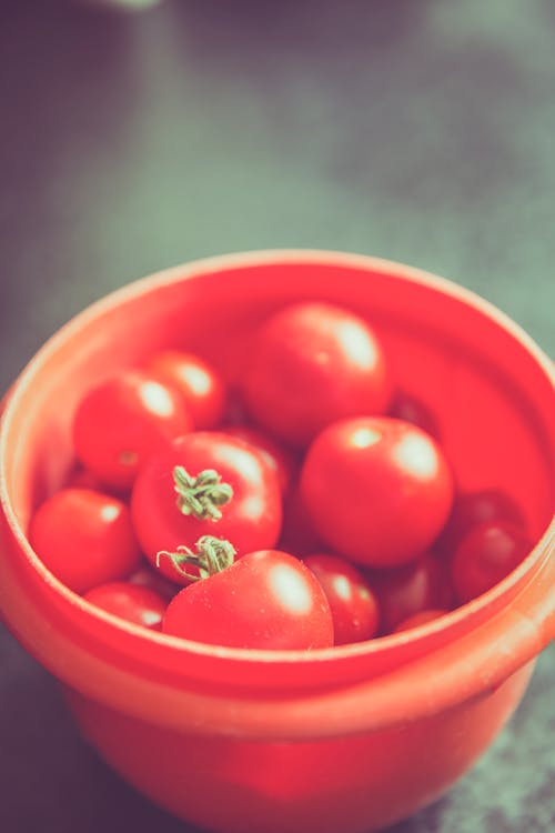 Immagine gratuita di fresco, giro, pomodori