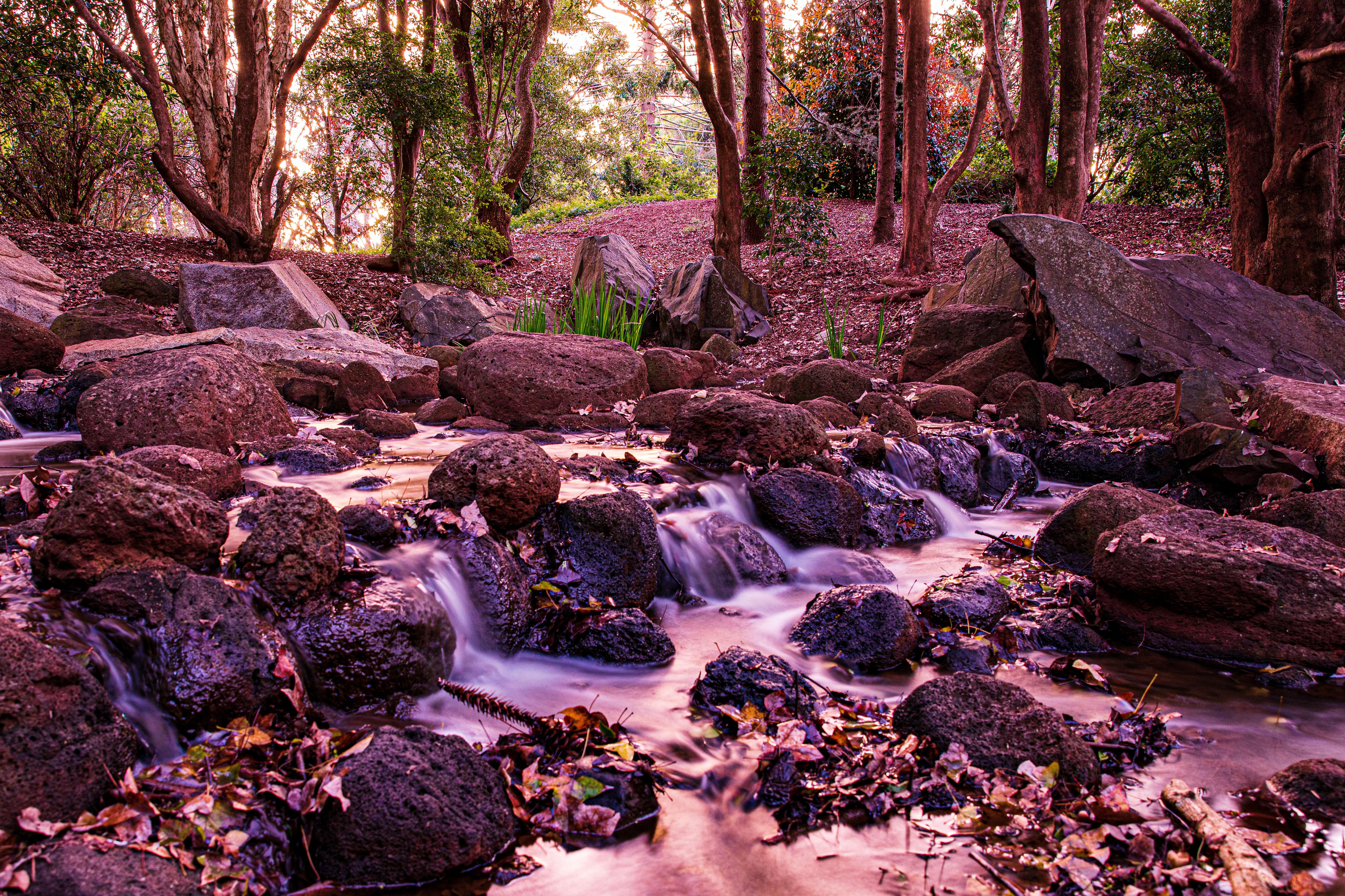 Long Exposure Picture of a Stream Flowing between Rocks in a Forest ...