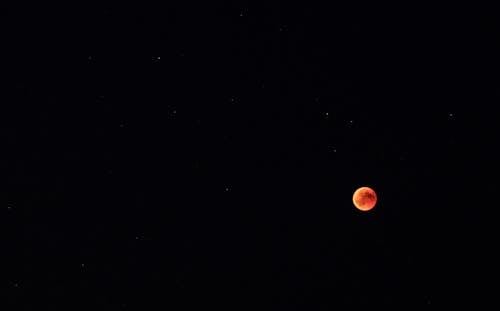 Free Eclipse Lunar Stock Photo