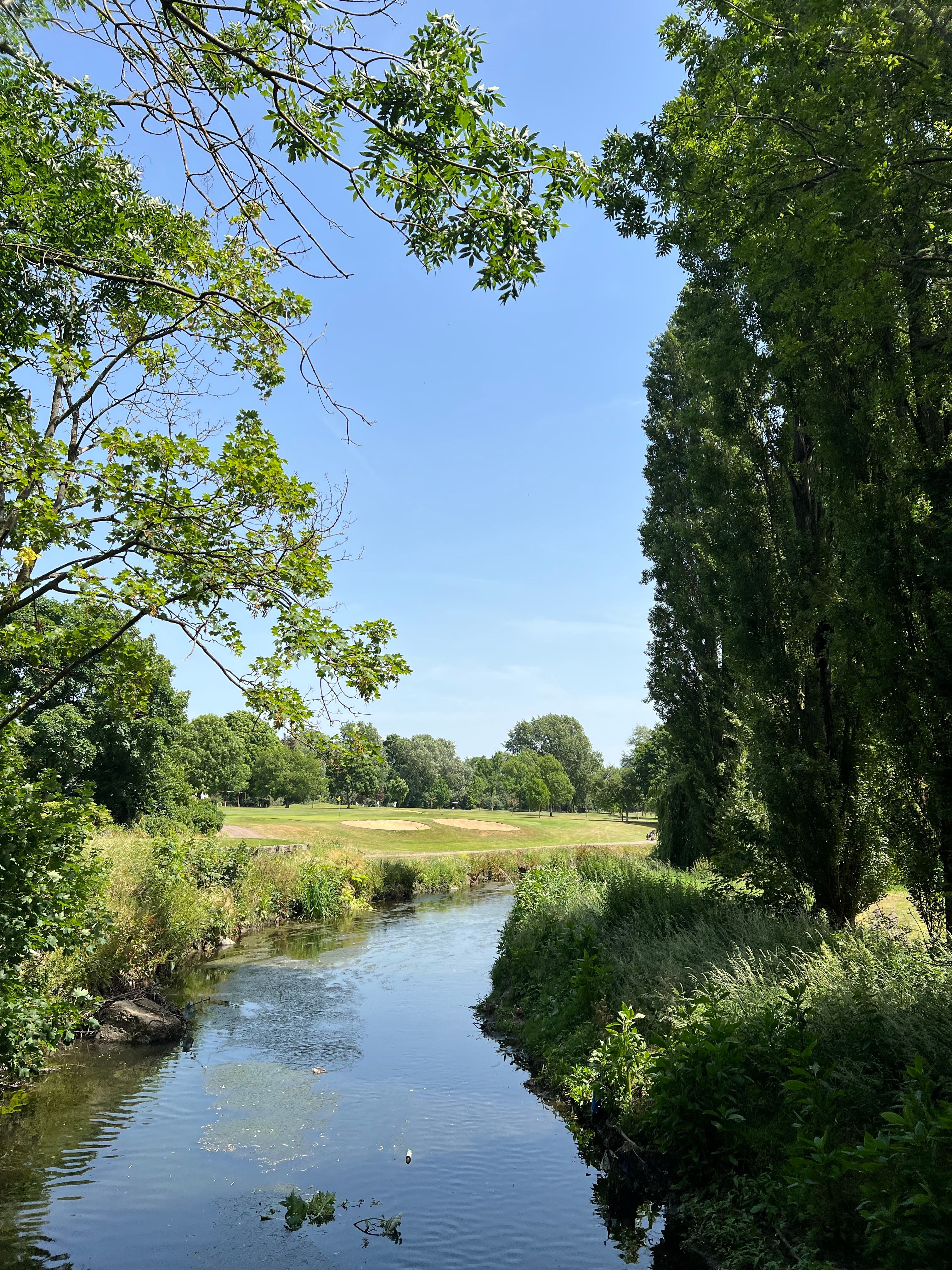 River in Rural Area · Free Stock Photo