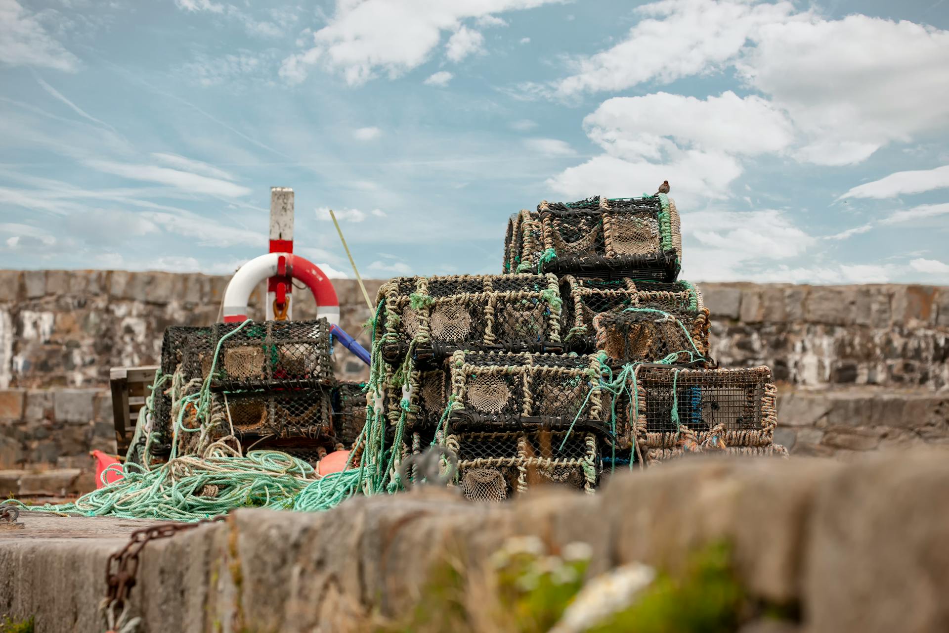 A picturesque scene of stacked lobster pots at Portsoy Harbor, Scotland on a sunny day.