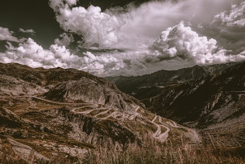 天性, 小路, 山 的 免費圖庫相片