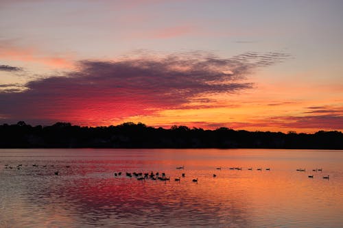 Scenic View of Lake during Daybreak