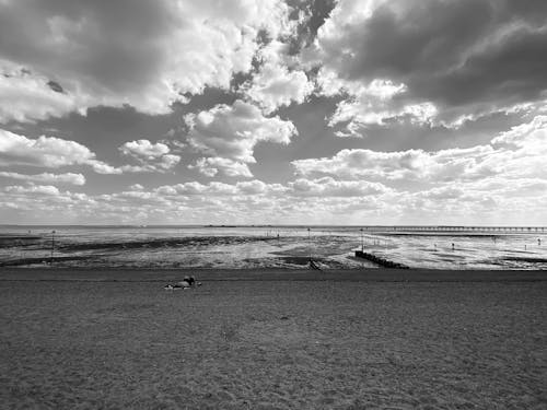 무료 구름, 그레이스케일, 바다의 무료 스톡 사진