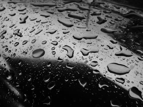 Grayscale Photo of Water Droplets