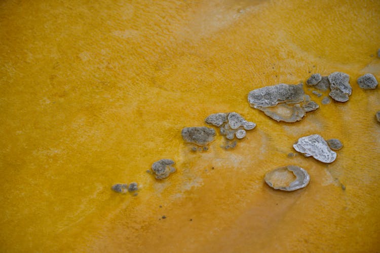 Close Shot Of Clay Beach