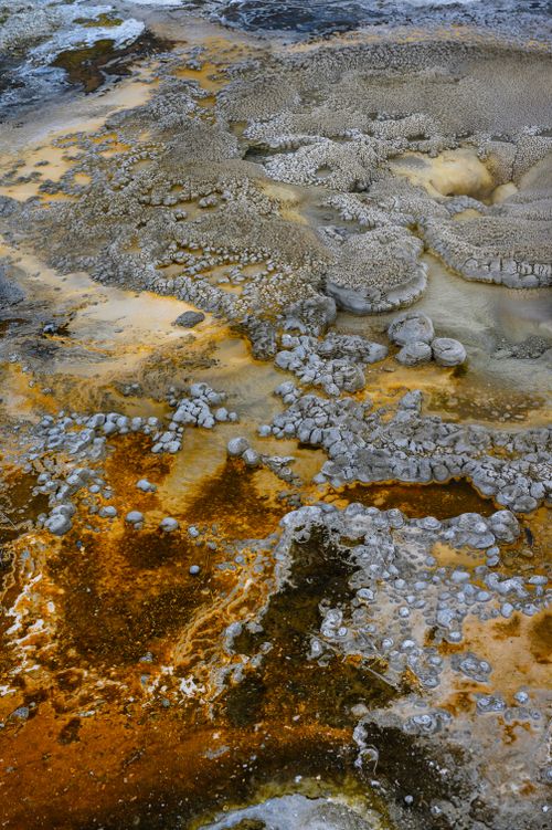 Free Close-up of vibrant geothermal formations and hot springs in Yellowstone National Park. Stock Photo