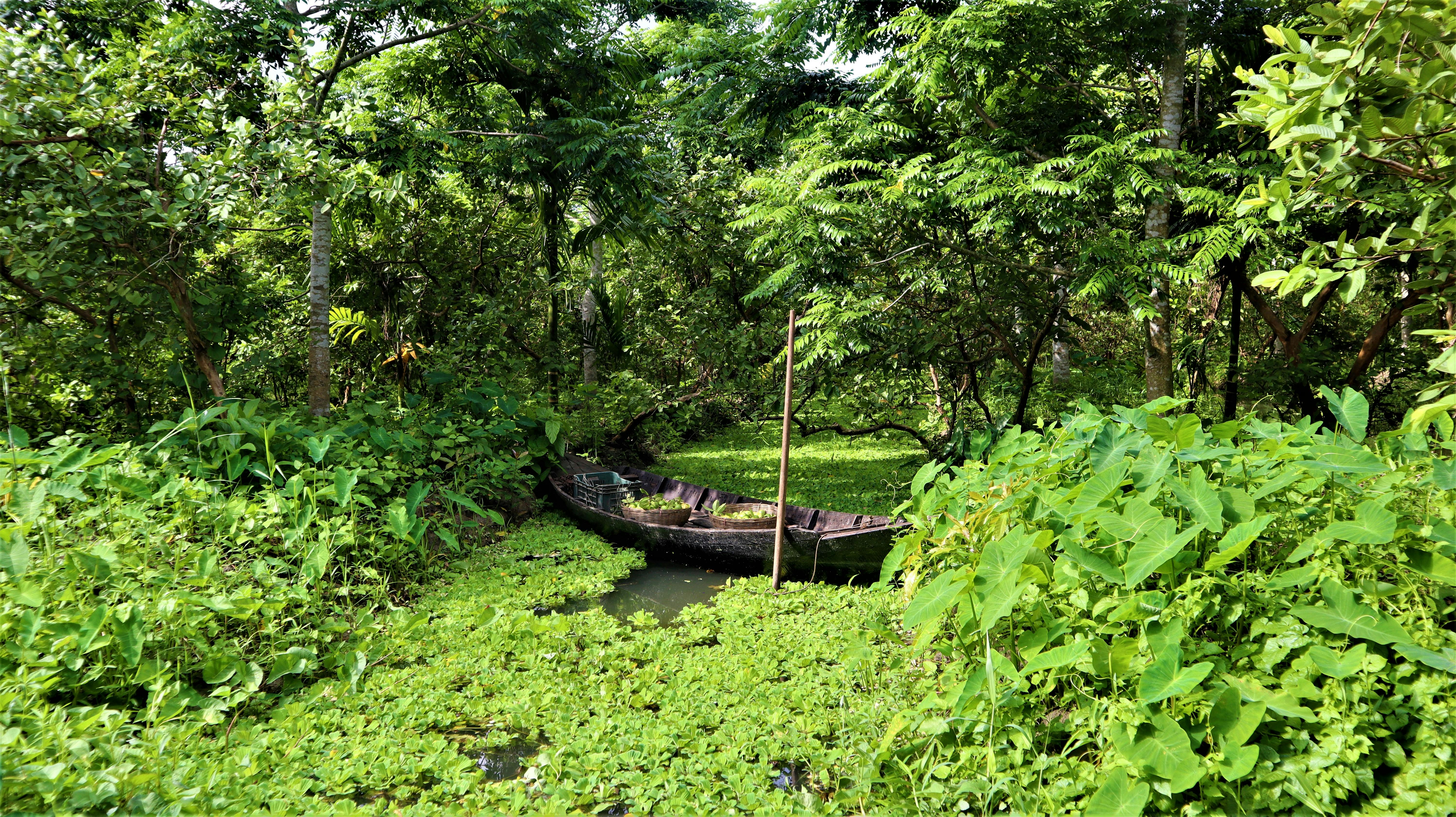 Bangladesh, Barisal