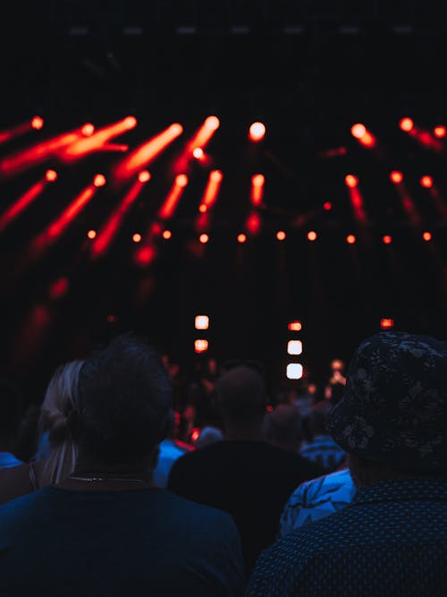 Gratis arkivbilde med folkemengde, konsert, mennesker