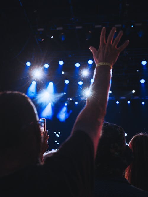 Crowd of People During a Music Concert