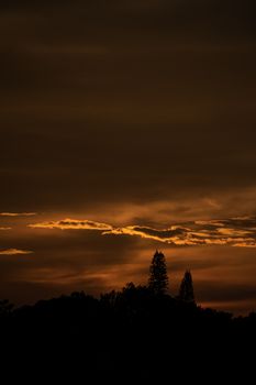 Majestic tree silhouettes under a vibrant twilight sky with dramatic clouds.