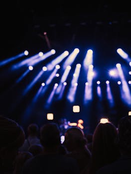 A lively concert scene captured at night with a crowd and dazzling stage lights.