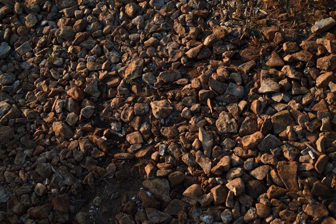 Brown and Black Stones on Ground · Free Stock Photo