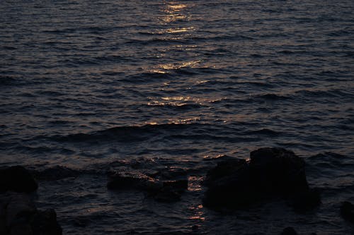 Fotobanka s bezplatnými fotkami na tému magická hodina, more, oceán