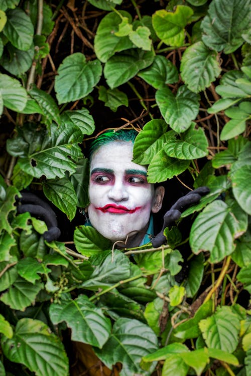 Man Wearing Joker Makeup Among Leaves 