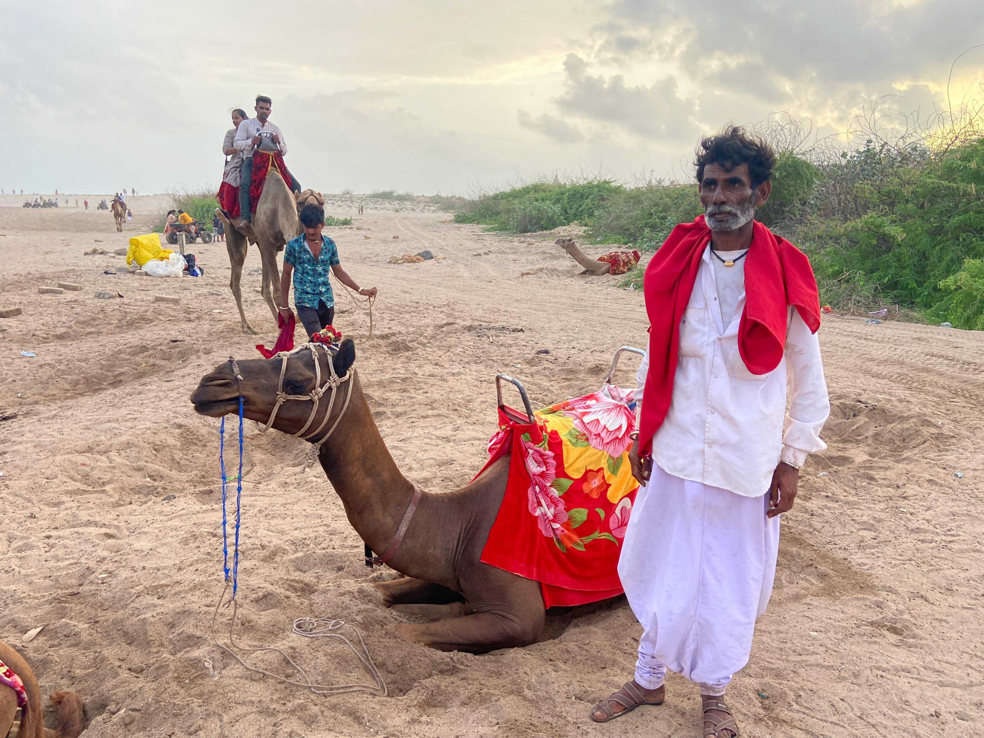 Explore a vibrant scene of camels and handlers on a sandy beach in Dwarka, India.