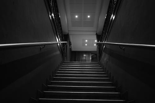 Low Angle Shot of Stairs in Grayscale Photography 