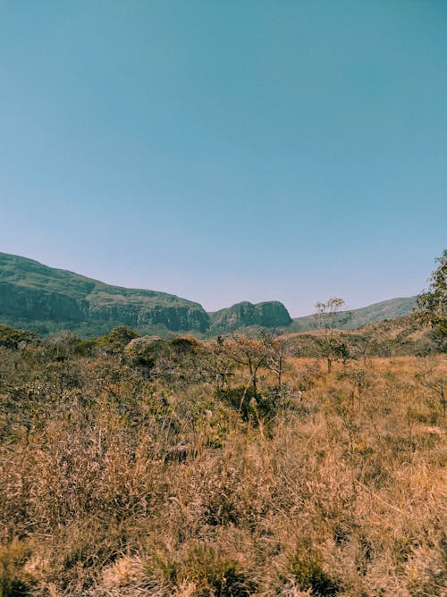 Desert Landscape with Mountains