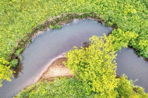 Aerial Shot of River Surrounded by Green Grass 