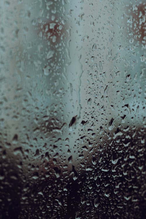 Základová fotografie zdarma na téma dešťové kapky, detail, mokrý