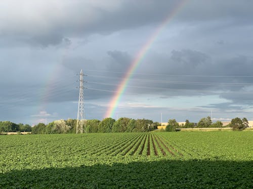 Fotos de stock gratuitas de agricultura, arco iris, campo