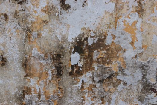Close-up of a textured, weathered stone wall with peeling paint and stains.