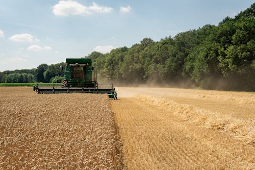 Free Harvester in wheat field driving towards one Stock Photo