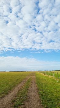 Beautiful countryside field in Mar del Plata, Argentina with clear skies and lush greenery.