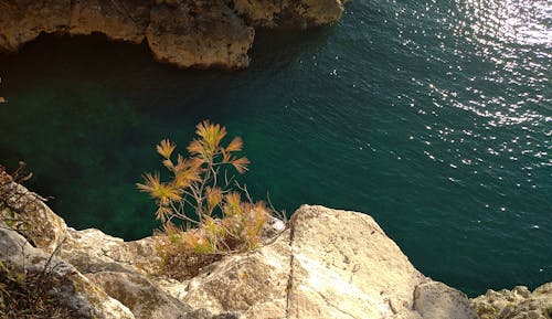 Foto d'estoc gratuïta de mar adriàtic