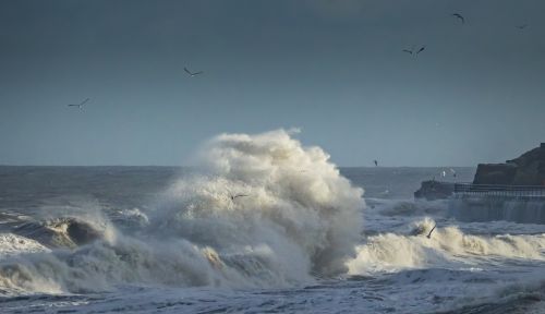 Free Intense ocean waves crash against a rocky coastline under a blue sky with birds flying overhead. Stock Photo