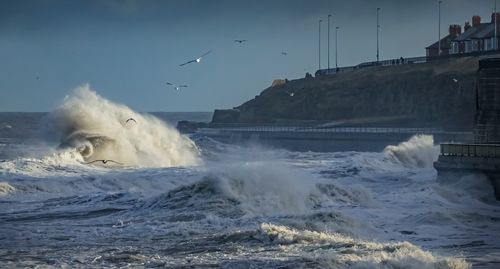 Free Dynamic scene of ocean waves crashing against a sea wall with seagulls soaring above. Stock Photo