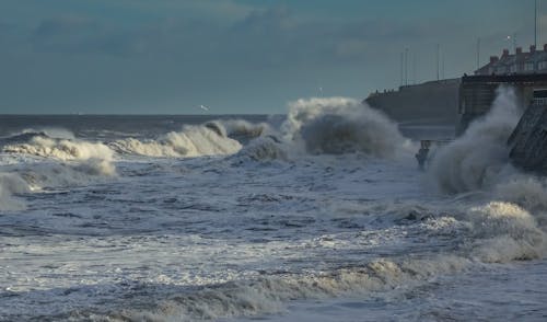dalgalar, dalgalar kırmak, deniz içeren Ücretsiz stok fotoğraf
