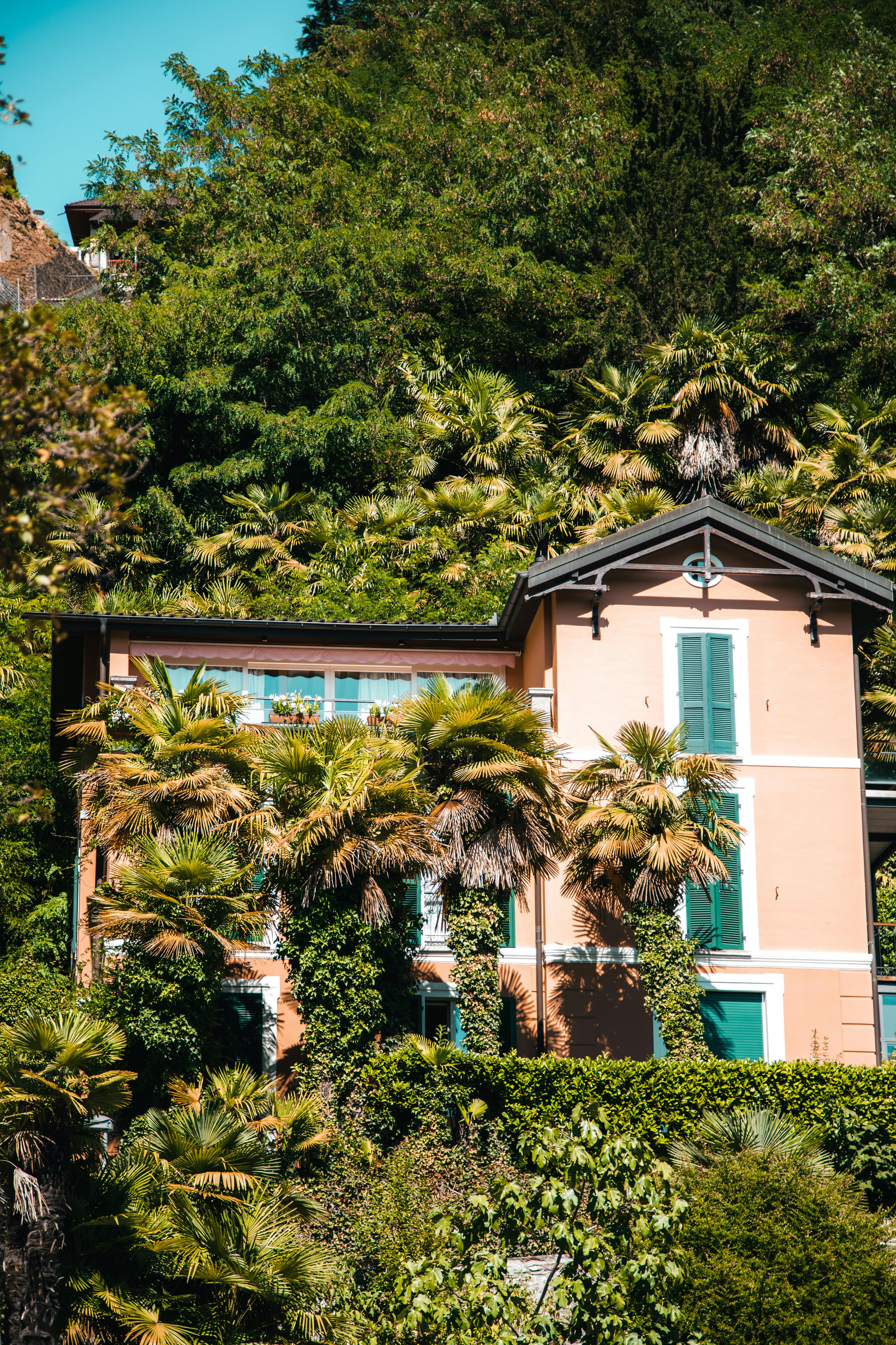 white and brown house surrounded by green trees