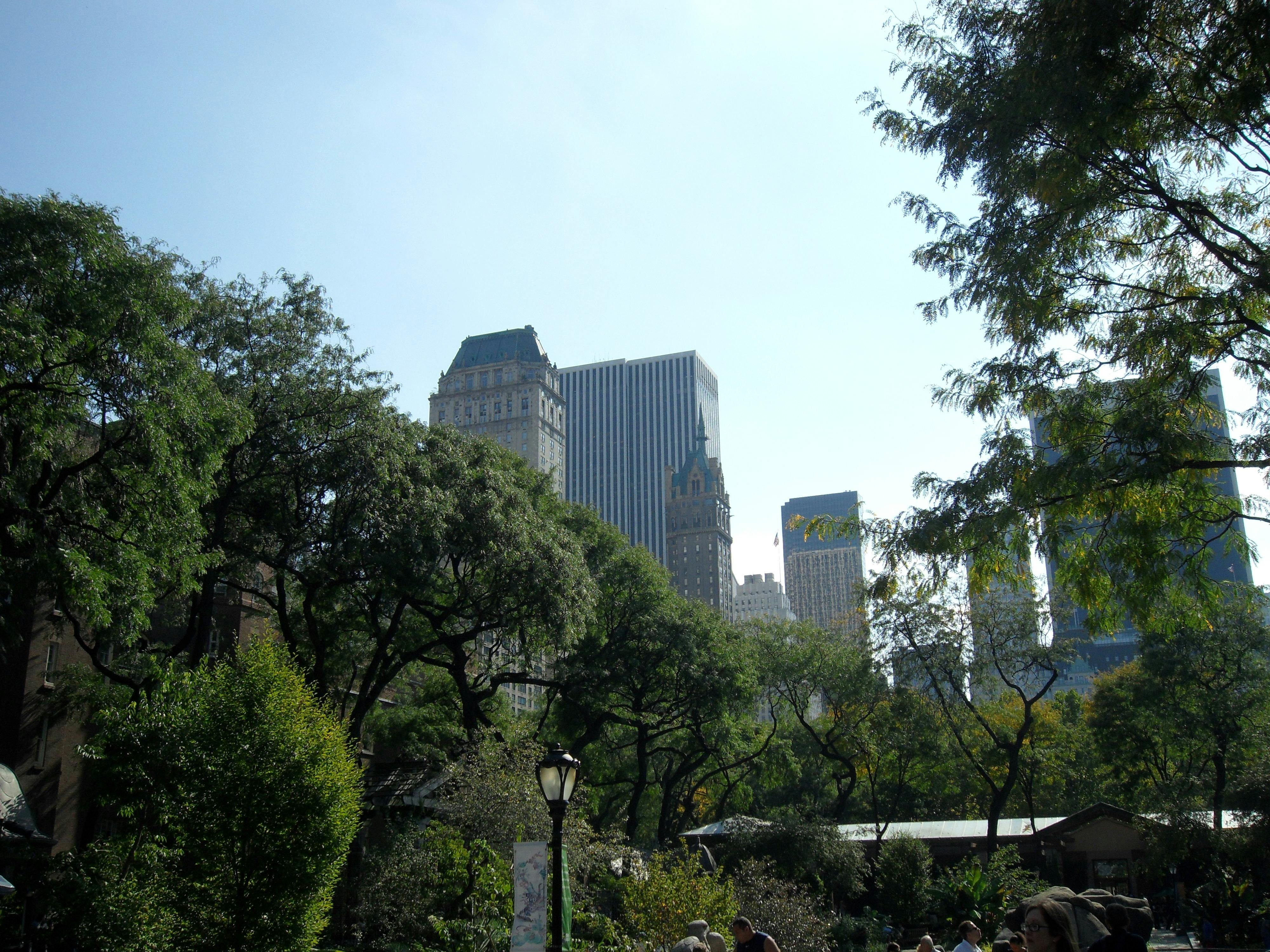 Free stock photo of central park, Central Park Zoo, new york