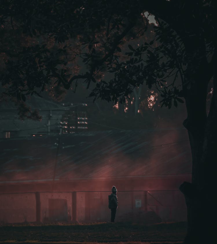 Child Standing In Dark Outdoors