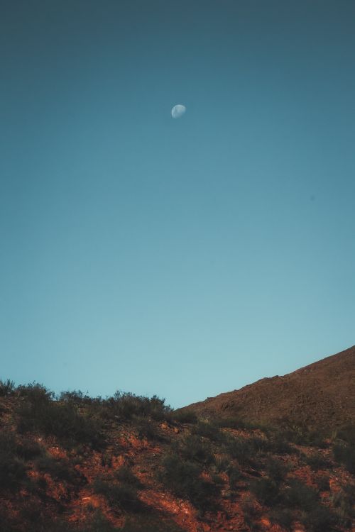 Free Peaceful desert scene at dusk with a bright moon in the sky, capturing tranquility and nature's beauty. Stock Photo