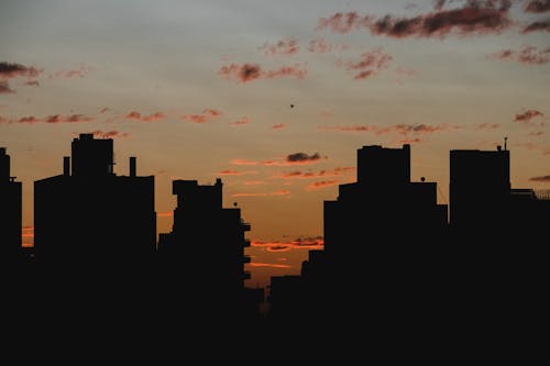 Základová fotografie zdarma na téma budovy, podsvícení, rozbřesk