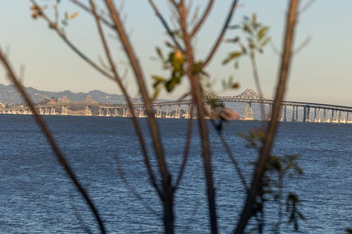 Δωρεάν στοκ φωτογραφιών με απόγευμα, γέφυρα, δύση του ηλίου