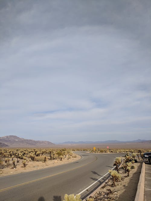 Road across Open Plains in Desert